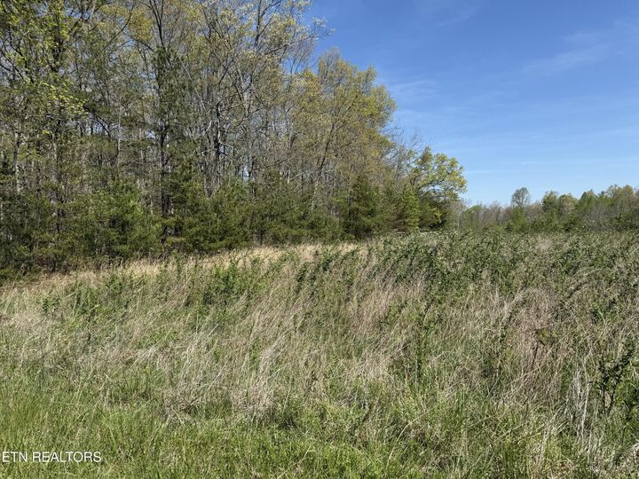 Property Photo:  0 Conley Rd  TN 38571 