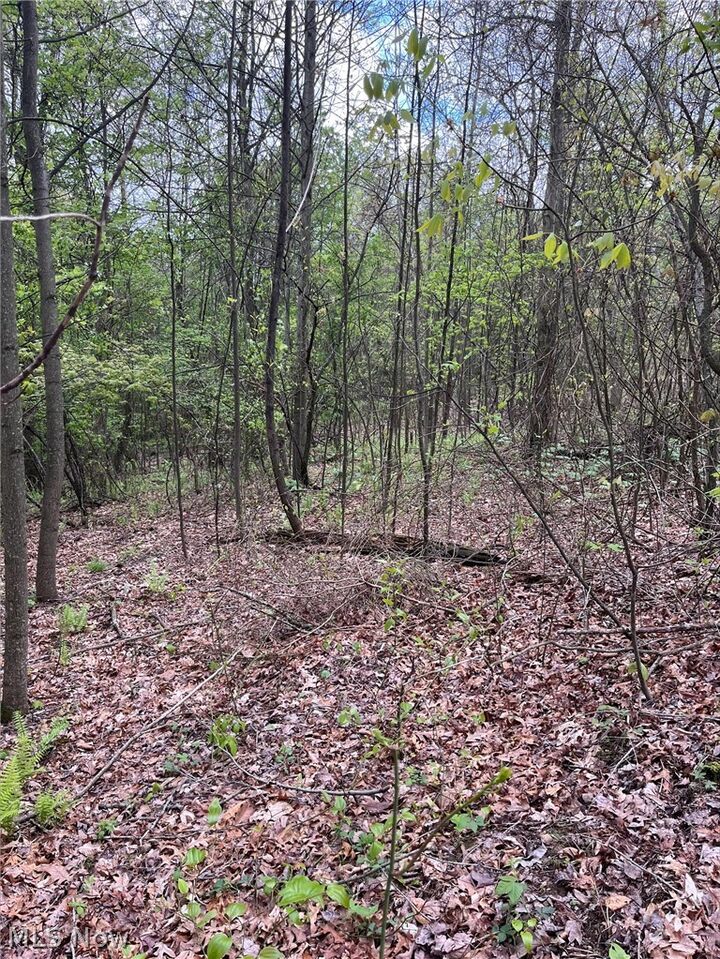 Property Photo:  Sandy Ridge Road  OH 44699 