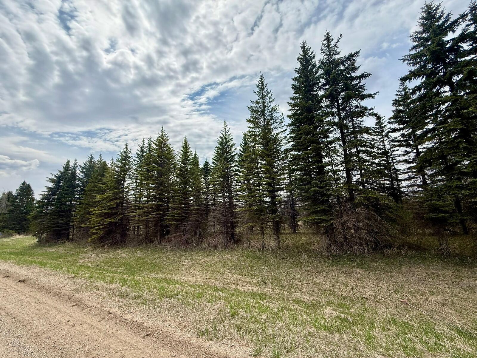 Property Photo:  Xxx 245th Ave  MN 56334 