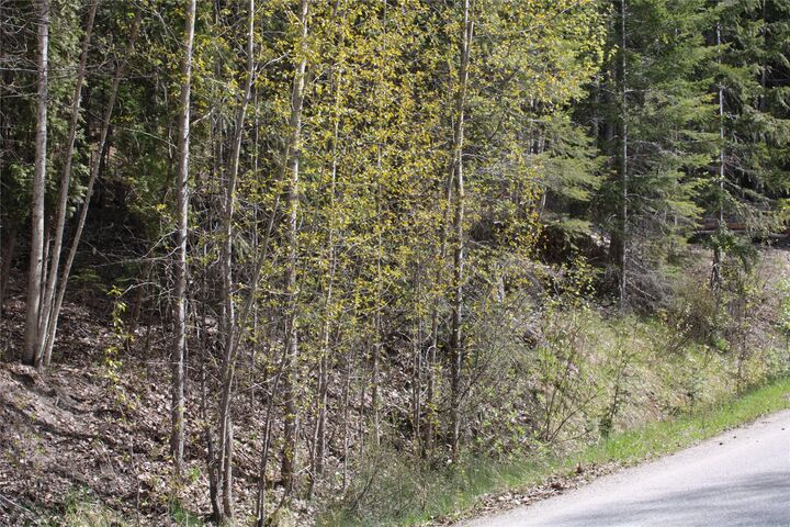 Property Photo: Lot 2 Vickers Trail BC V0E 1M8