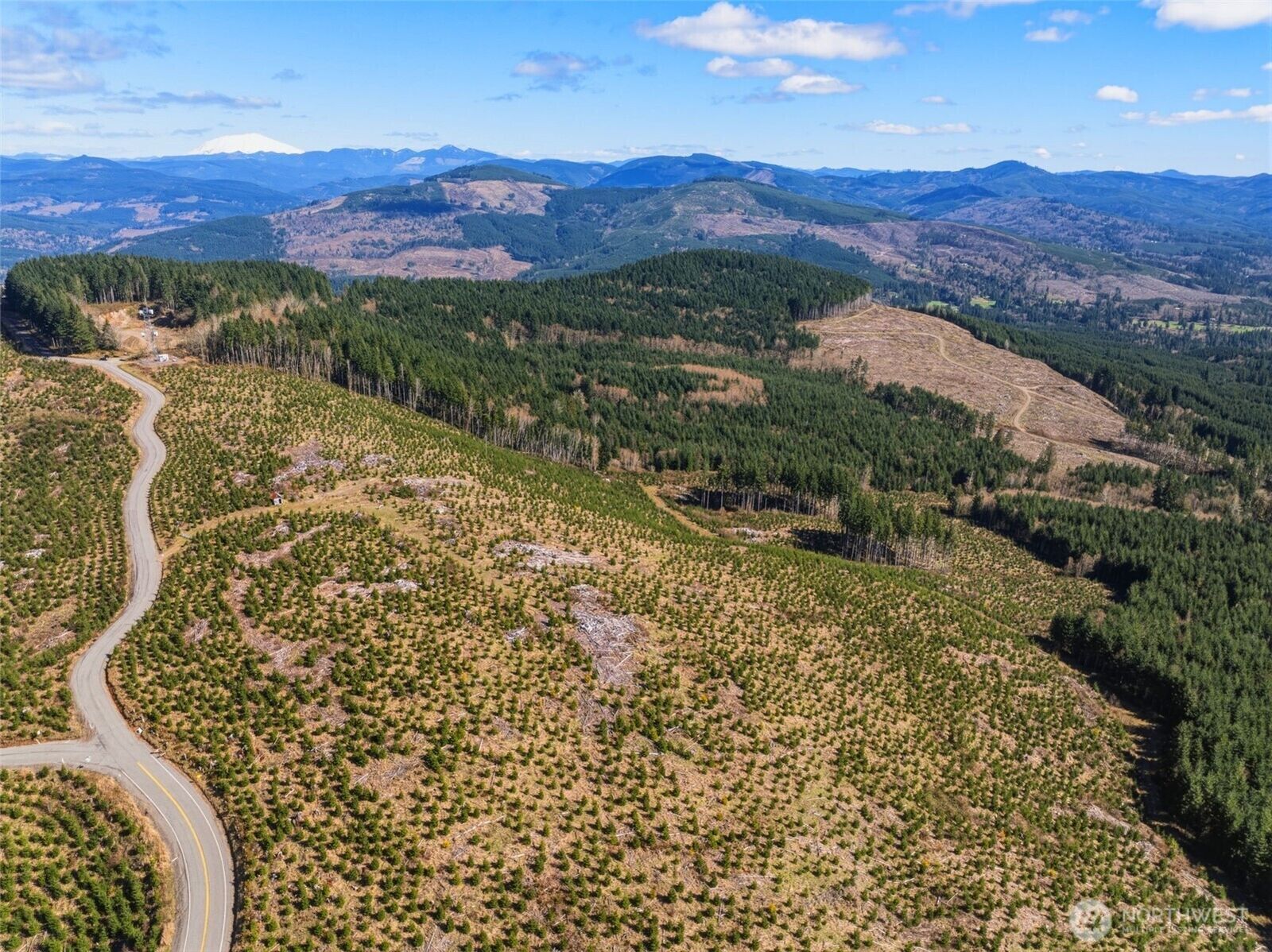 Property Photo:  0 Lot 4  Hamilton Heights Road  WA 98626 