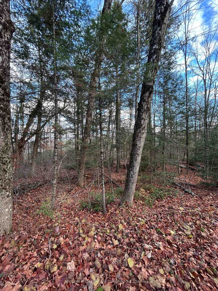 Property Photo:  00 Mill Lake Road  ON K0L 1A0 