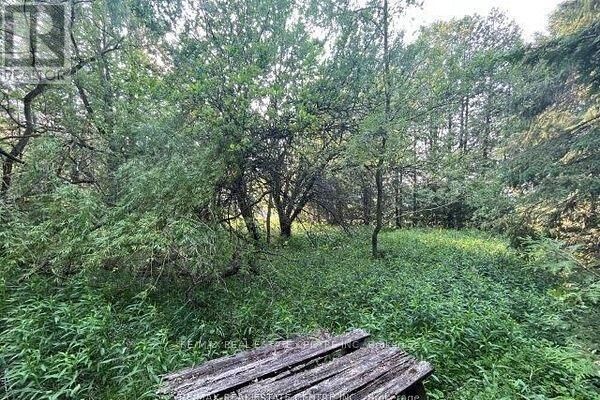 Property Photo:  034541 Conc 8-9 East Luther Grand Valley  ON L9W 0H2 