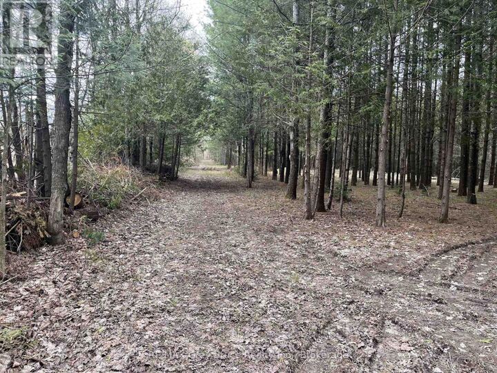 Property Photo:  523782 Concession 12 Road  ON N0C 1H0 