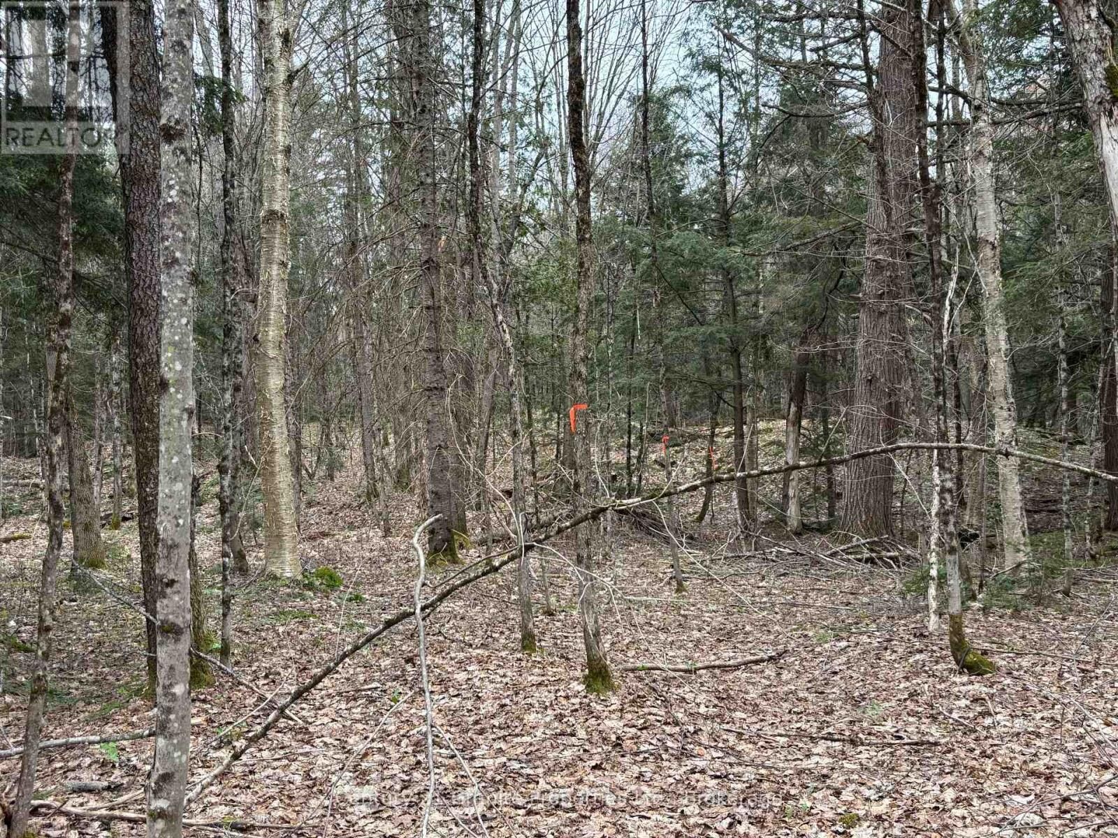 Property Photo:  Lot 1 Loch Erne Road  ON P2A 2W7 