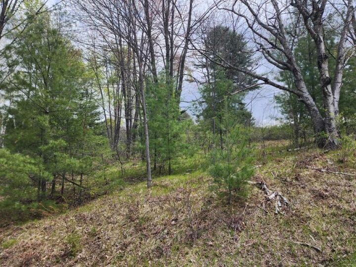 Property Photo:  .34 Acres N 36th Avenue Hilltop Avenue  WI 54401 