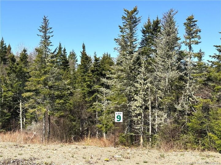 Lot 25-09 Hillside Estates — photo 1