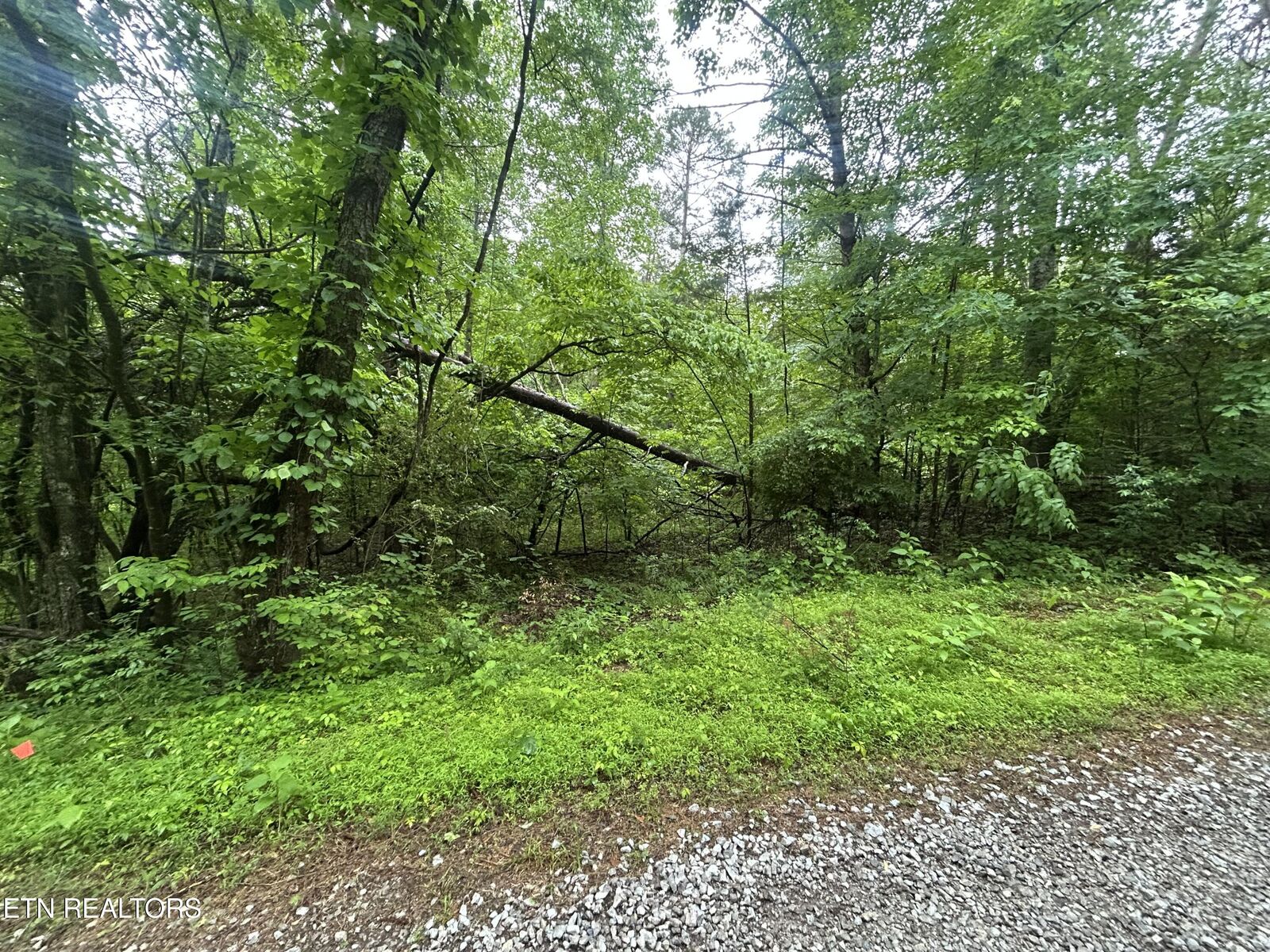 Property Photo:  Lot 105-108 Settlers Rd  TN 37748 