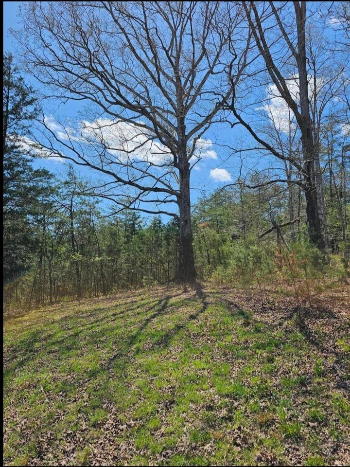 Property Photo:  9999 S. Hwy 127 Dunnville S Hwy 127 Loop  KY 42528 
