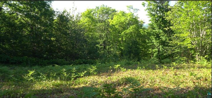 Property Photo:  83xxx Ashwabay Heights Rd  WI 54814 