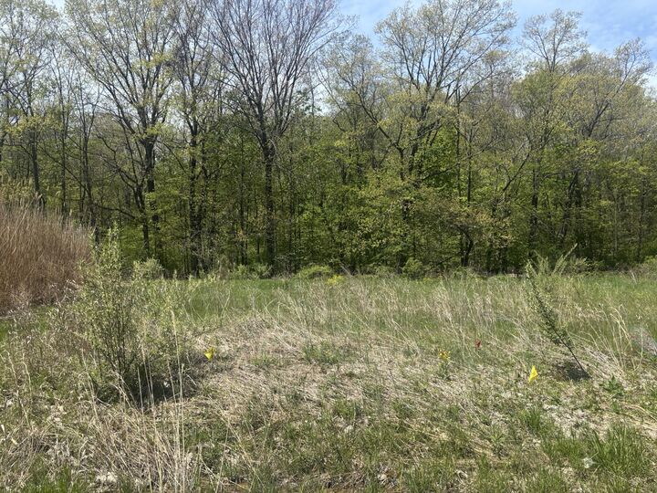 Property Photo:  Jane Way  MI 49125 
