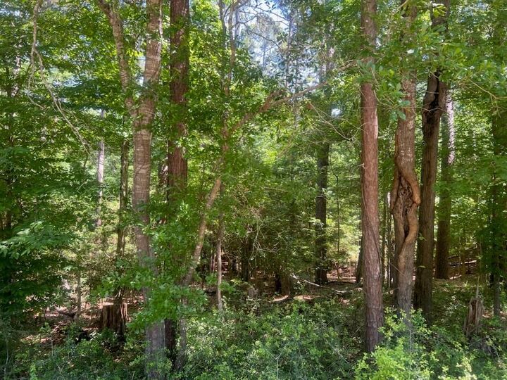 Property Photo:  324 Leisure Lane  TX 75944 