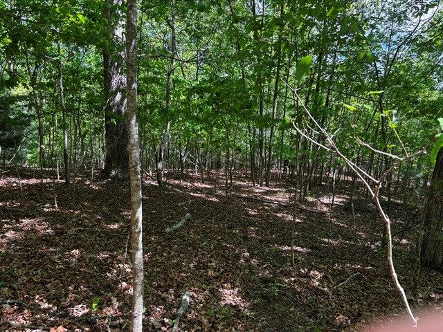 Property Photo:  Lot 43 Edgewood Trail  GA 30512 
