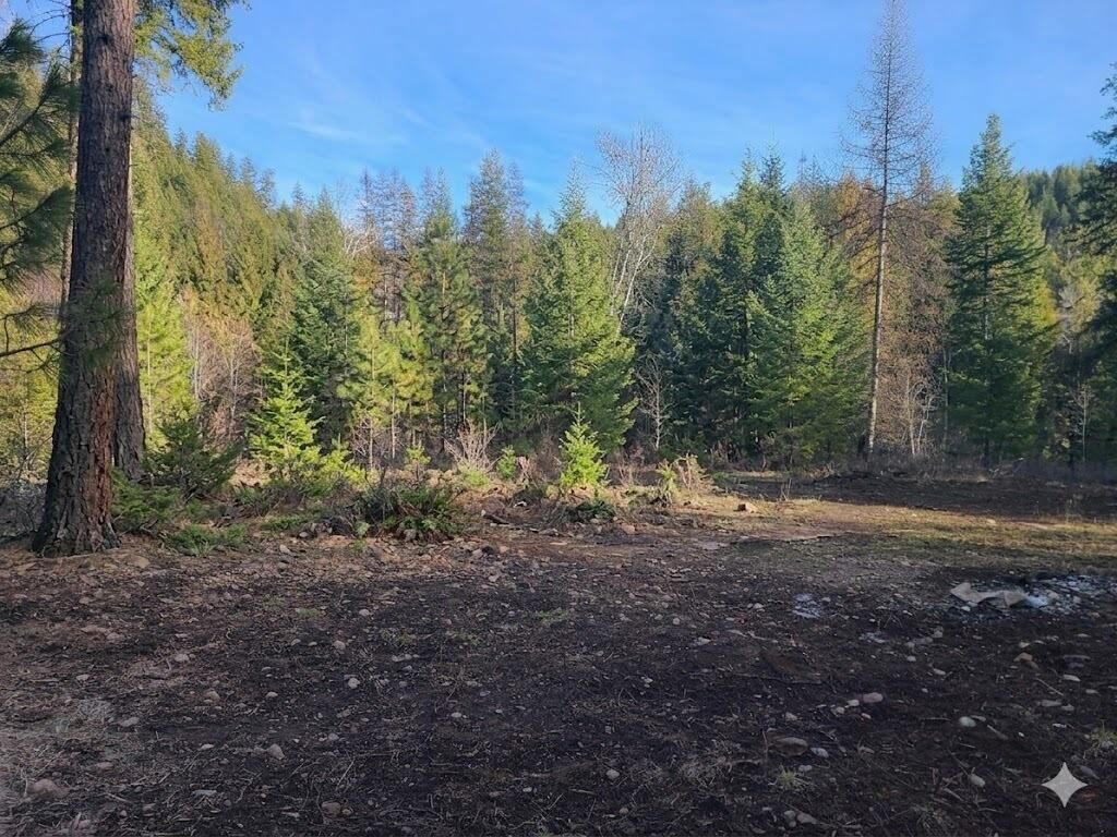 Property Photo:  2584 Bridgeman Rettinger Rd  WA 99141 