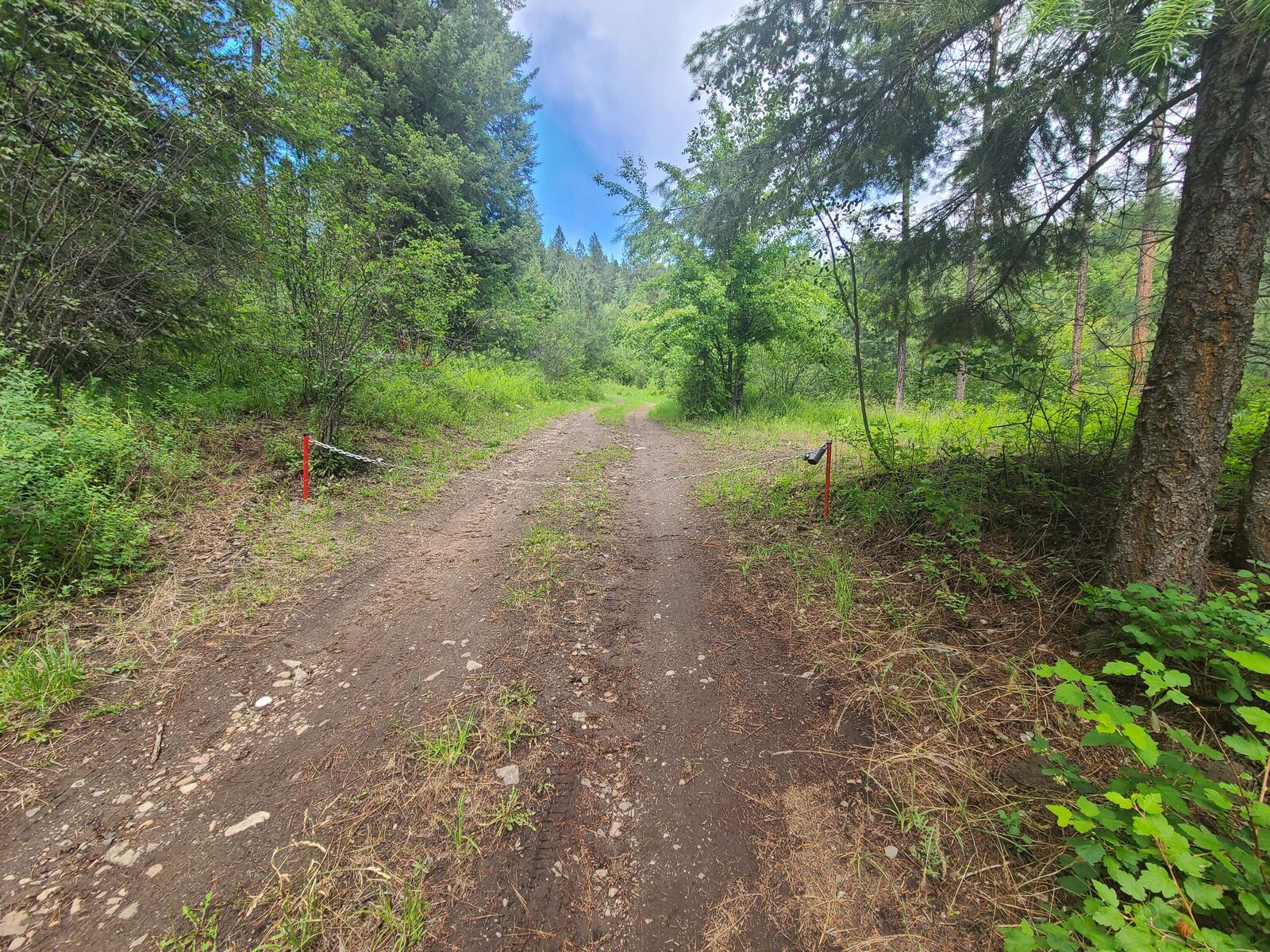 Property Photo: 2584 Bridgeman Rettinger Rd WA 99141