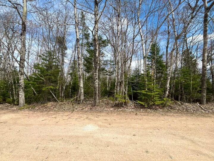 Property Photo:  Lot 10 Black Duck Lake Road  NS B0P 1C0 