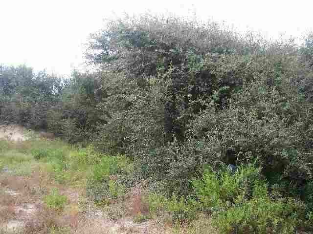 Property Photo:  4408 Ride Lane  NC 27949 