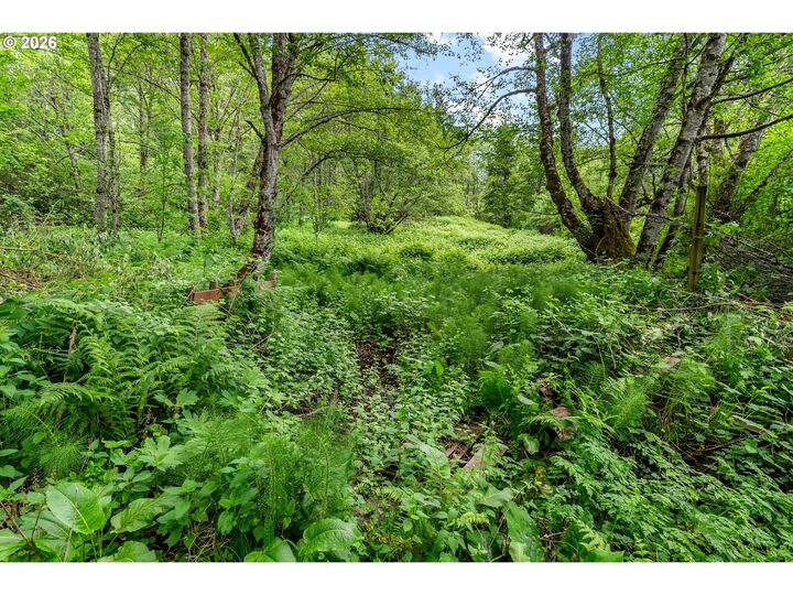 Property Photo: 91 Rancho Del Oro WA 98648