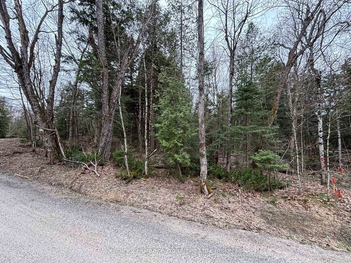Property Photo:  Lot 1 Loch Erne Road  ON P2A 2W7 