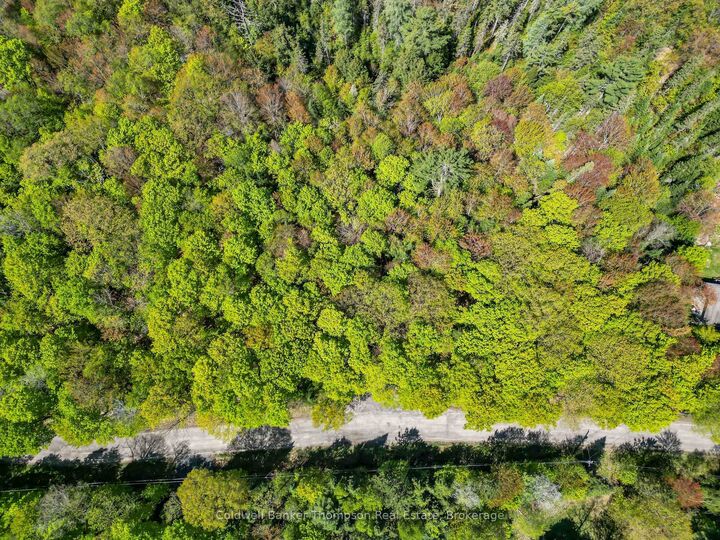 Property Photo:  989 North Waseosa Lake Road  ON P1H 2J4 