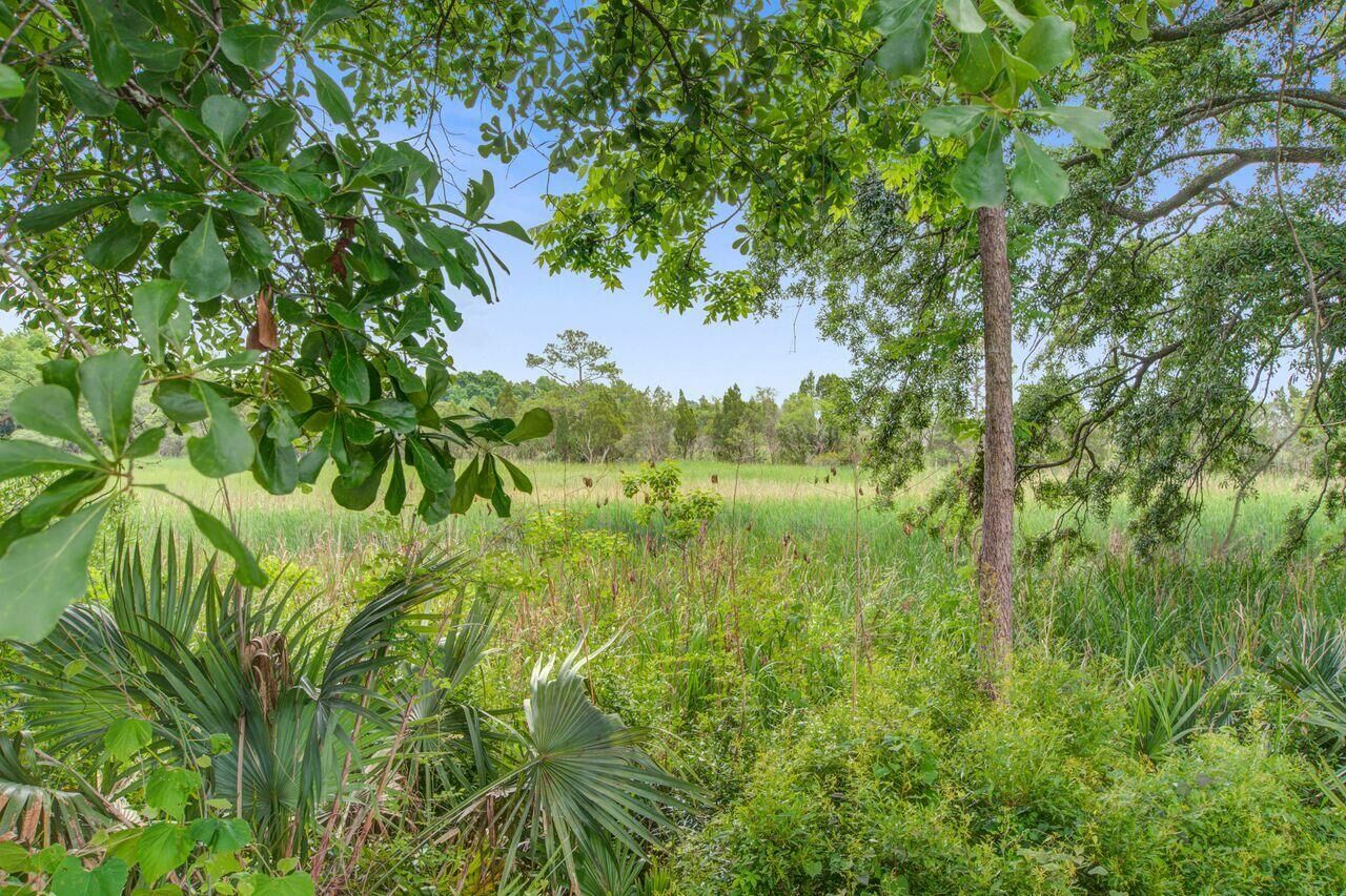 Property Photo:  4939 Popperdam Creek Drive  SC 29418 