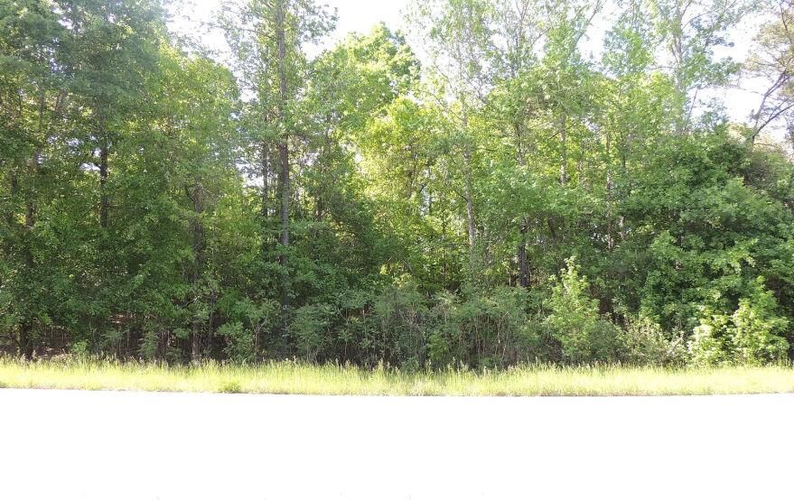 Property Photo:  0 Causey Rd  GA 31050 