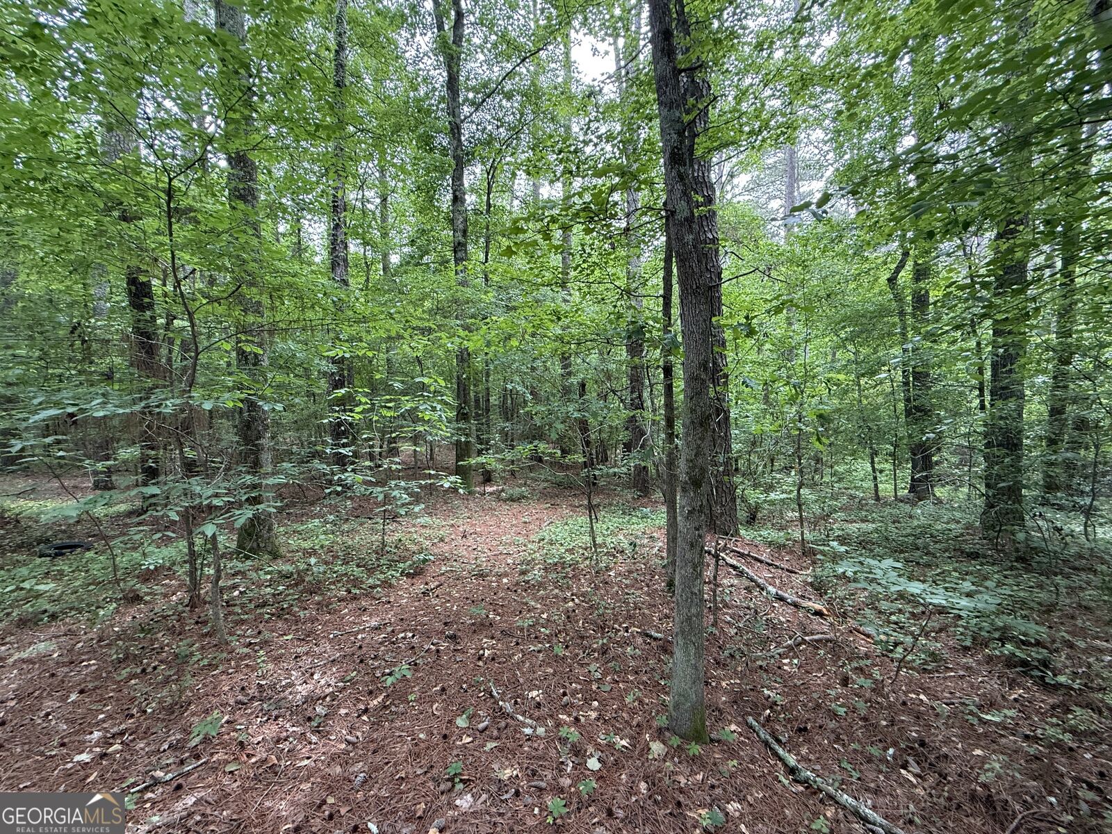 Property Photo:  0 Bollen Road  GA 30165 