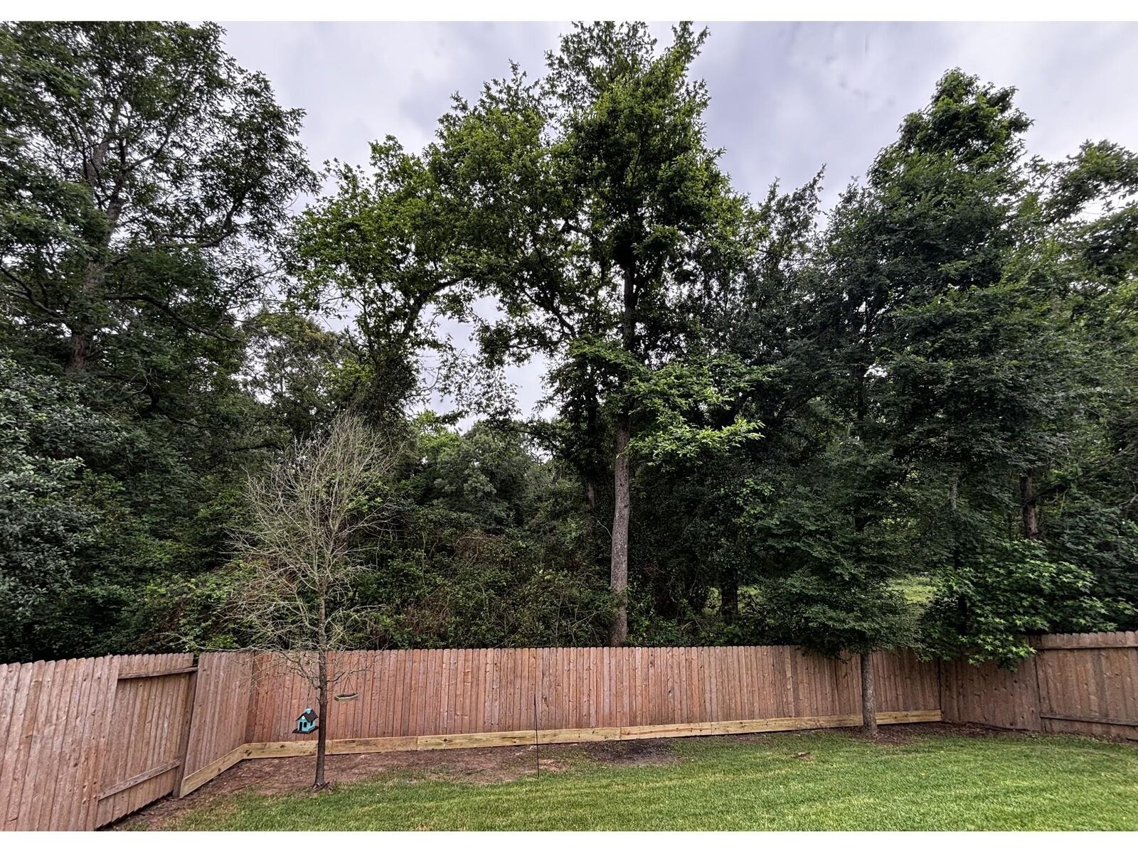Property Photo:  7562 Fettle Lane  TX 77304 