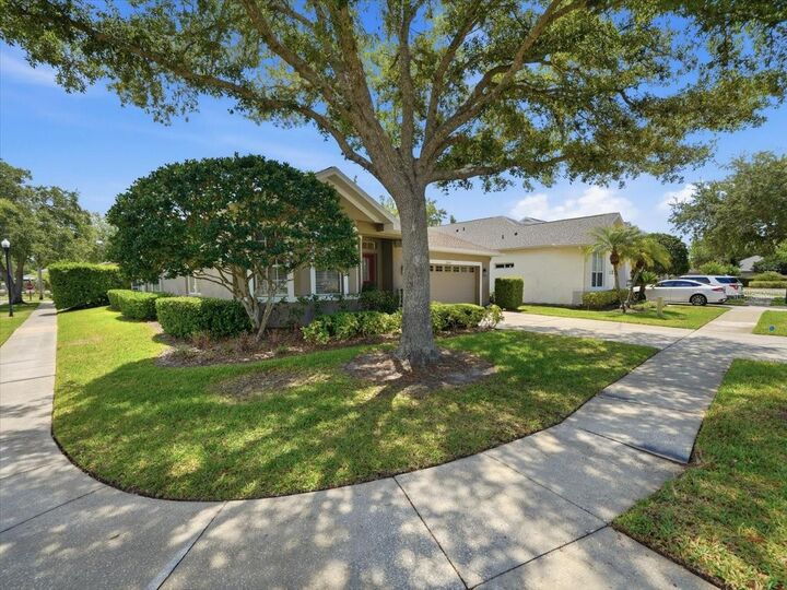 Property Photo:  19409 Golden Slipper Place  FL 33558 