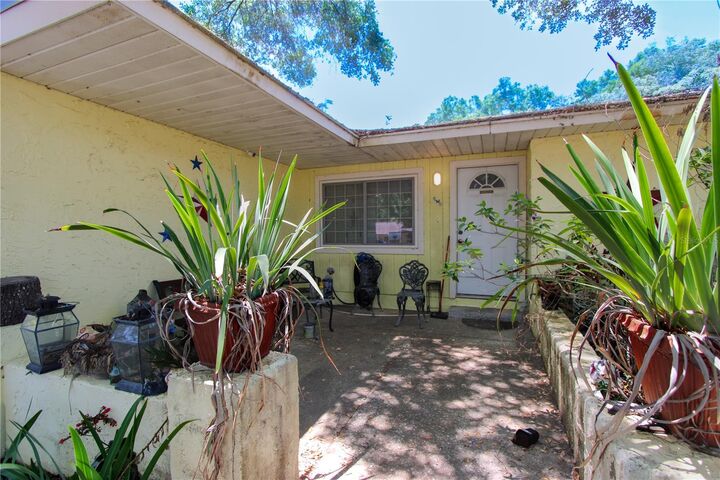 Property Photo:  1229 Oak Valley Drive  FL 33584 