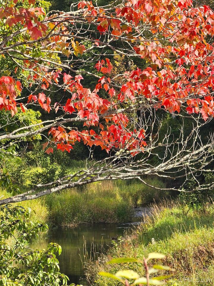 Property Photo:  22109 River Trails Road  MI 49931 
