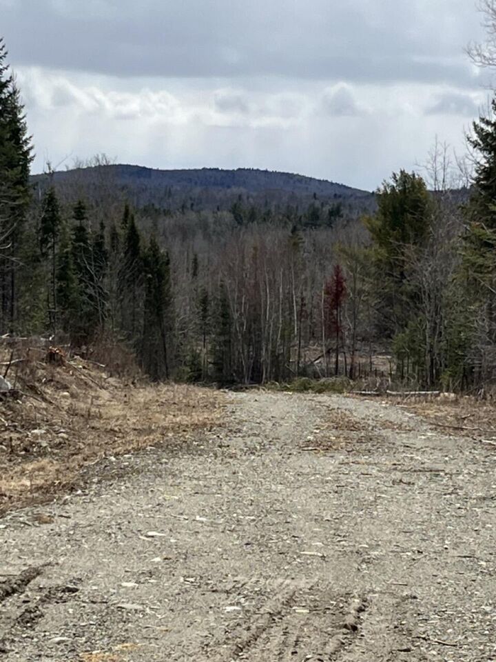 Property Photo:  M3l32,33 Rt 6 Highway  ME 04487 