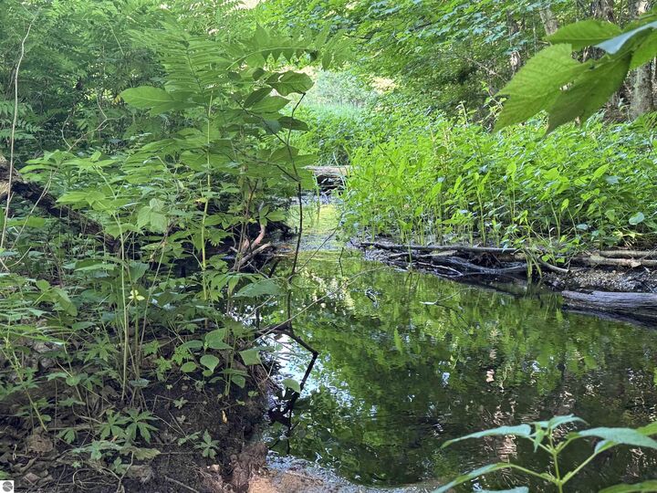 Property Photo:  00 W Beeman Road  MI 49630 
