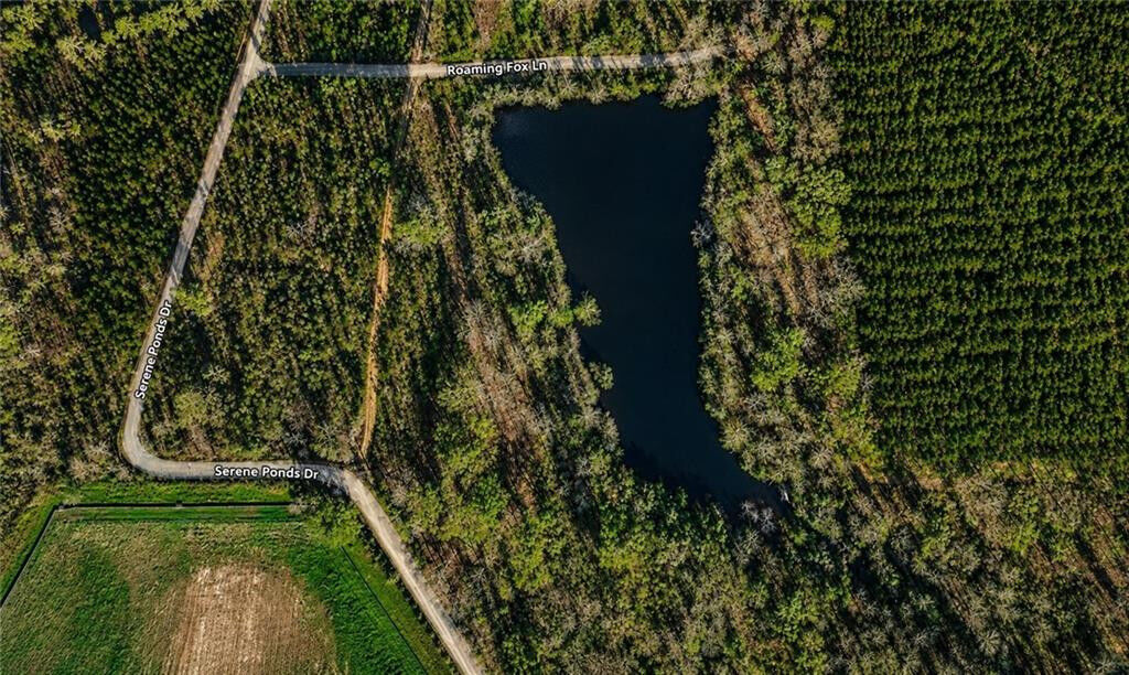 Property Photo:  Lots 11,12,18 Serene Ponds Road  LA 70438 