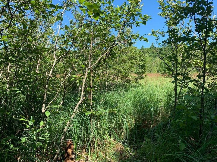 Property Photo:  Lot 22-4 Little Harbour Road  NS B2H 3T5 