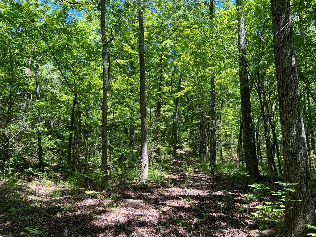Property Photo:  Terrapin Road  AR 72601 