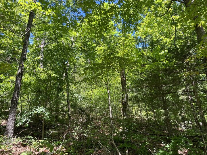 Property Photo:  Terrapin Road  AR 72601 