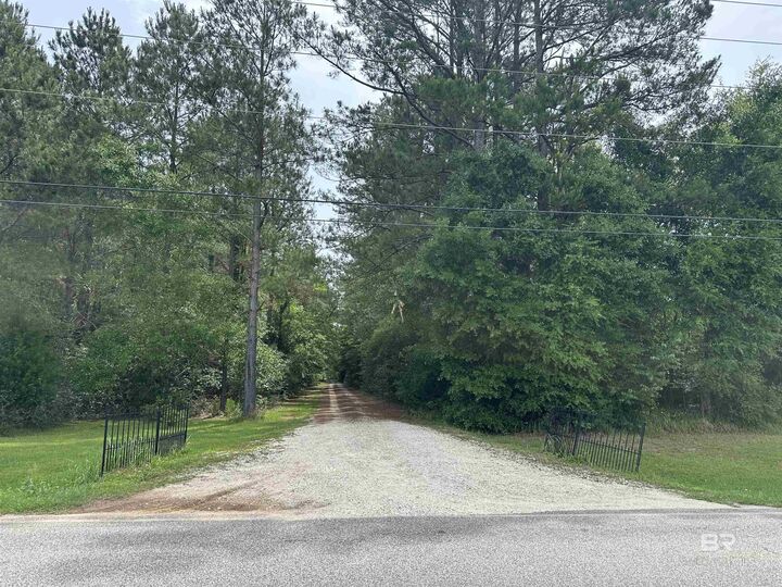 Property Photo:  0 E County Road 54  AL 36526 