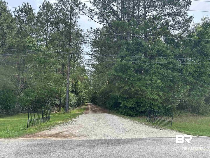 Property Photo: 0 E County Road 54 AL 36526
