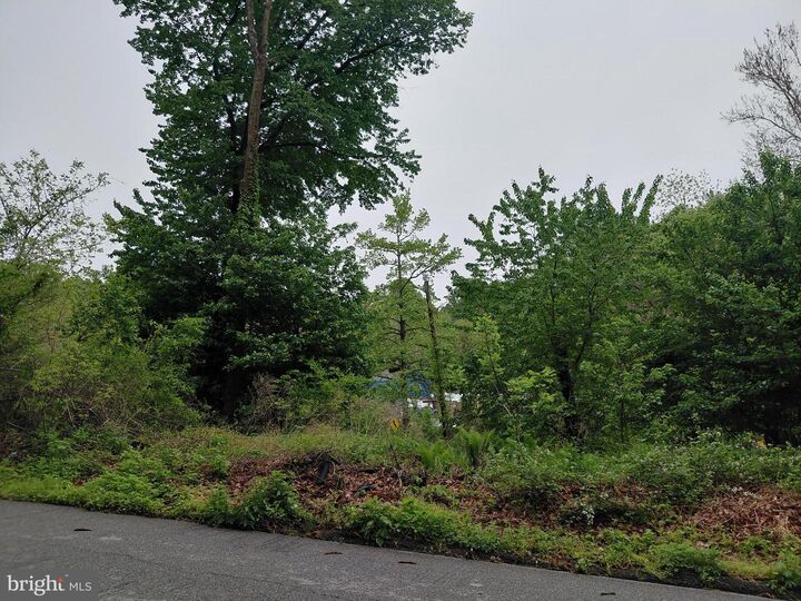 Property Photo:  115 Pennell Road  PA 19063 