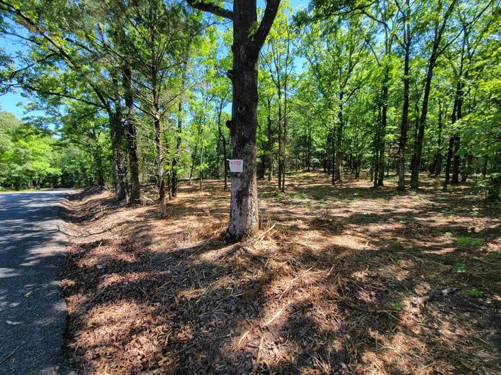 Property Photo:  00 McNew Cemetery Road  AR 72058 