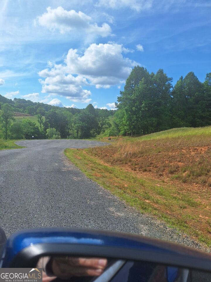 Property Photo:  Lot 67 Hillside Court  GA 30560 