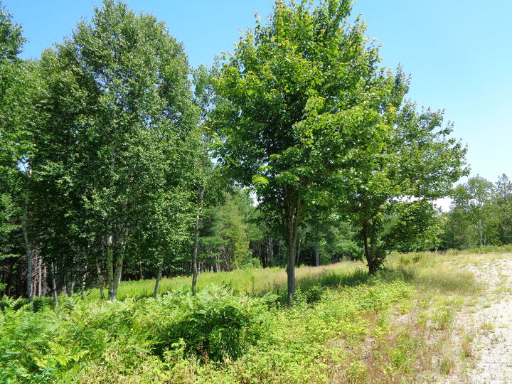 Property Photo: Lot 18 Bailey Mountain Road ME 04634