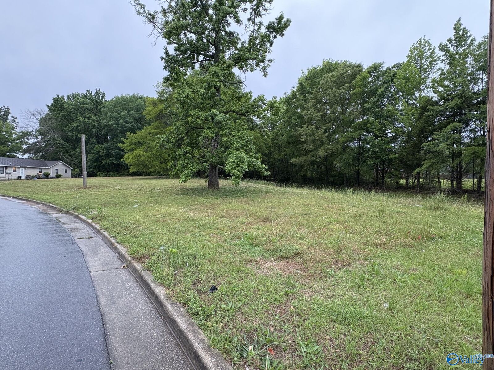 Property Photo:  Lot 4 Wimberly  Drive  AL 35603 