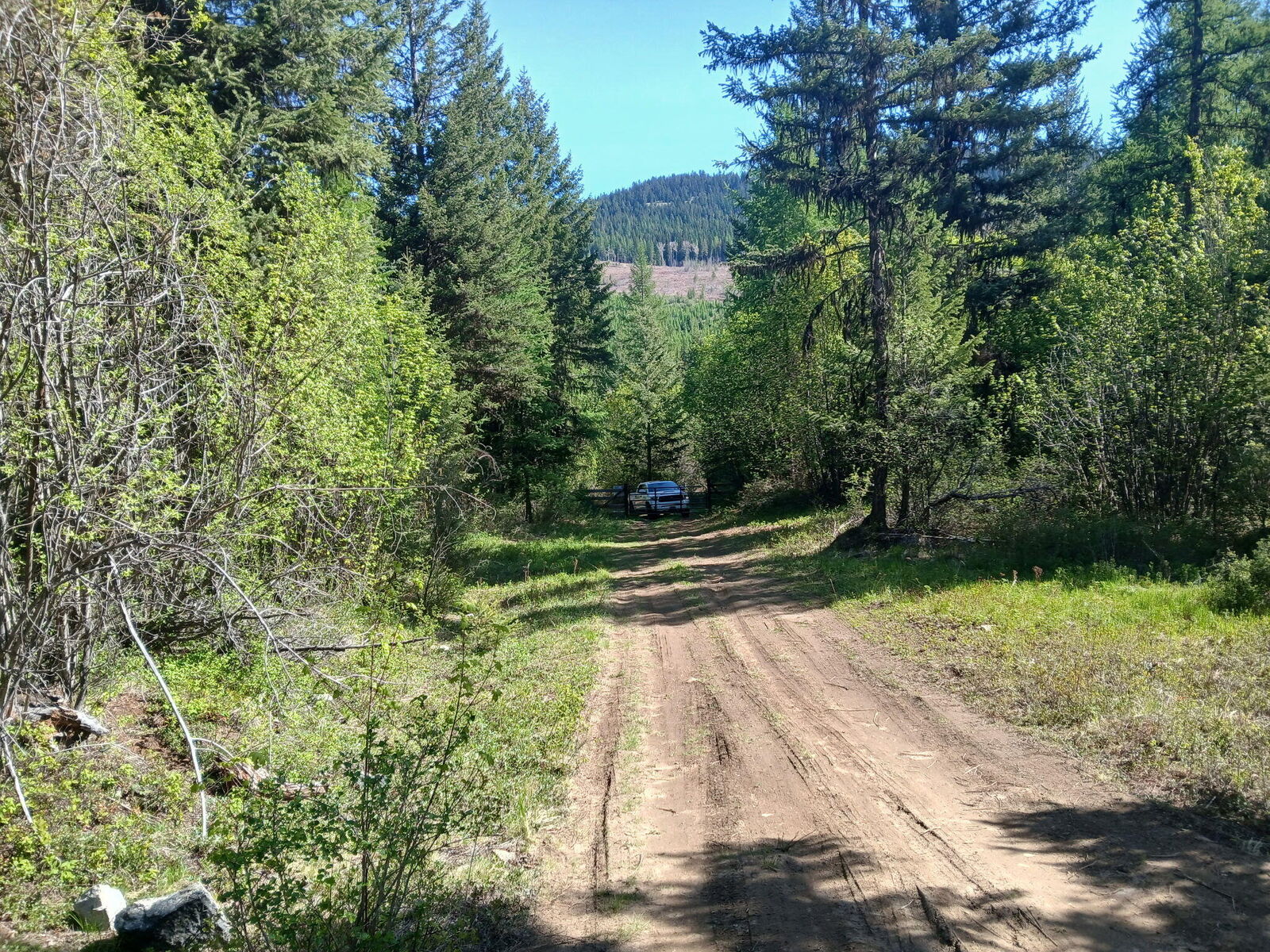 Property Photo: 24X Bardwell Rd WA 99118