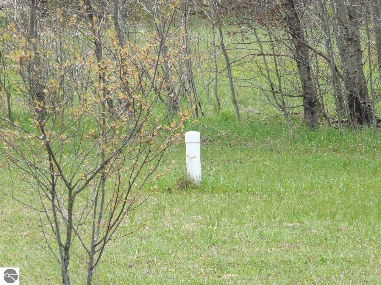 Property Photo:  Lot 31 Kingsfield Drive  MI 49649 