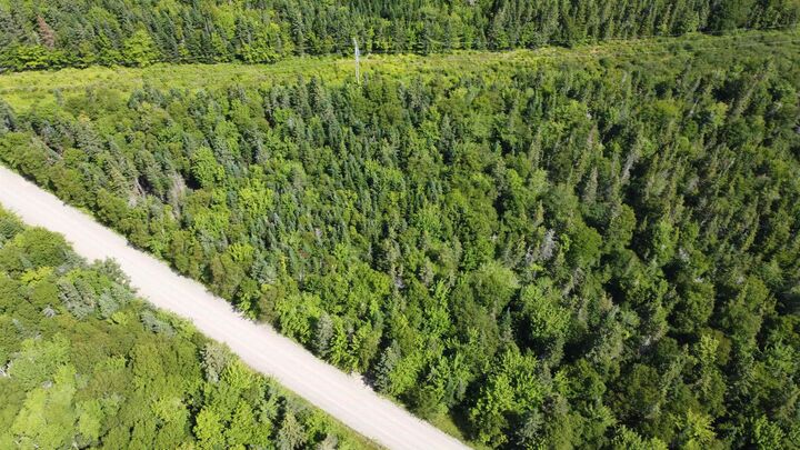 Property Photo:  Lot 1 Calabash Road  NS B1X 1K1 