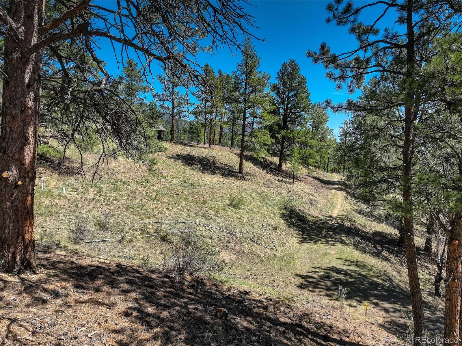 Property Photo:  000 Hayden Ridge Road  CO 80439 