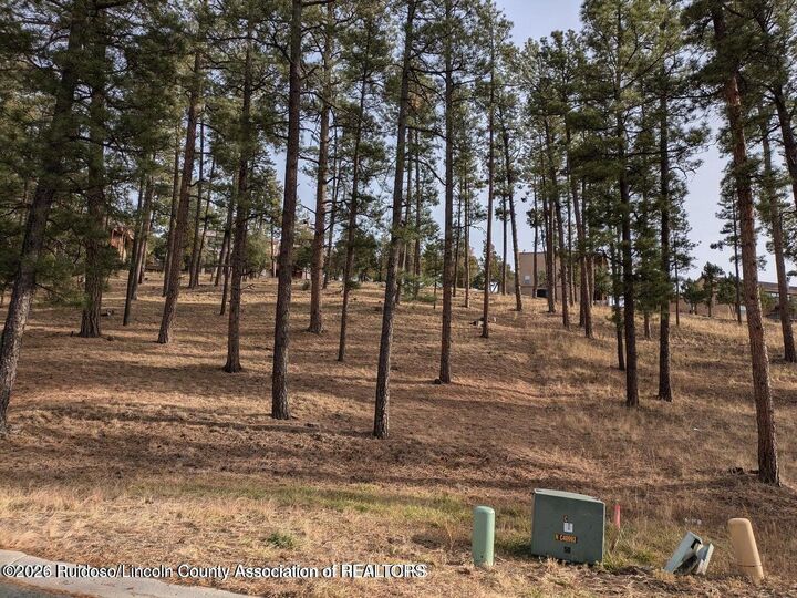 Property Photo:  320 White Mountain Meadows Drive  NM 88345 