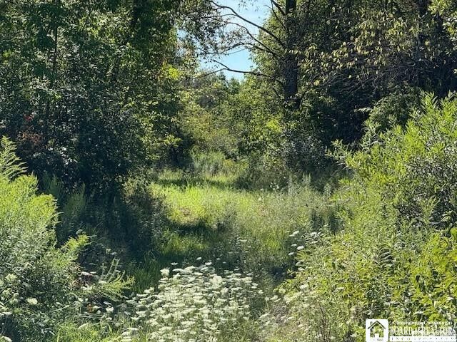 Property Photo:  W Oak Hill Road  NY 14701 